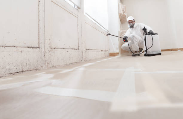 24/7 Emergency Basement Mold Removal experts in Rolesville, NC